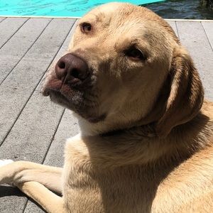 Meet your Posher, Brooke